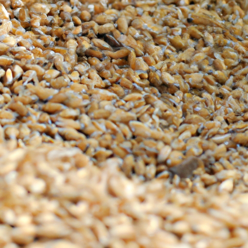 Fonio: What it is, Characteristics and Benefits of the Ancient Cereal